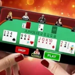 Card Rummy Game Pakistan APK v1.204 Free Download for Android